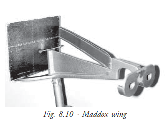  Maddox Wing
